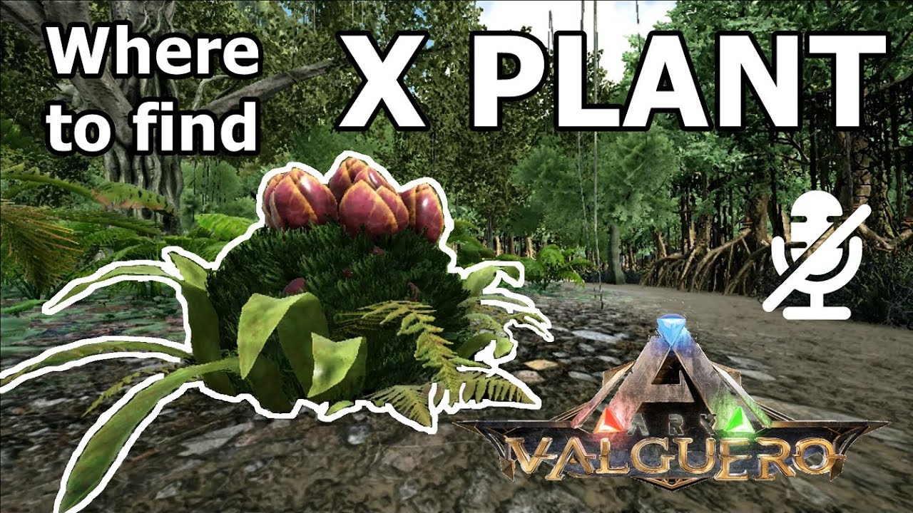 Where to find Plant Species X at Valguero Map YouTube