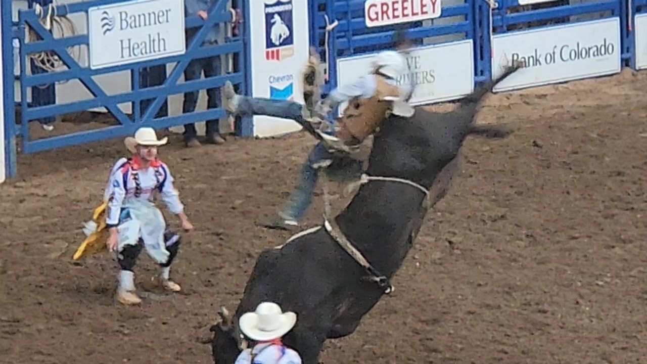 Extreme Bull Riding at Greeley Stampede