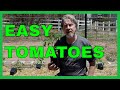Grow Great Tomatoes - Seed to Garden