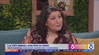 New L.A. City Animal Services manager addresses shelter concerns