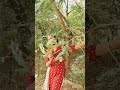 ஆயிரத்தில் அவள் ஒருத்தி#HusbandVsWife #FunnyShorts #Comedy #CouplesComedy #TamilComedy