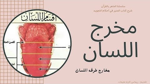 مخارج الحروف، مخرج اللسان - مخرج النون والراء (طرف اللسان) | كتاب المنير في أحكام التجويد