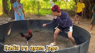 Radit Vs Ayam Jago Dibalik Layar Omped Visual