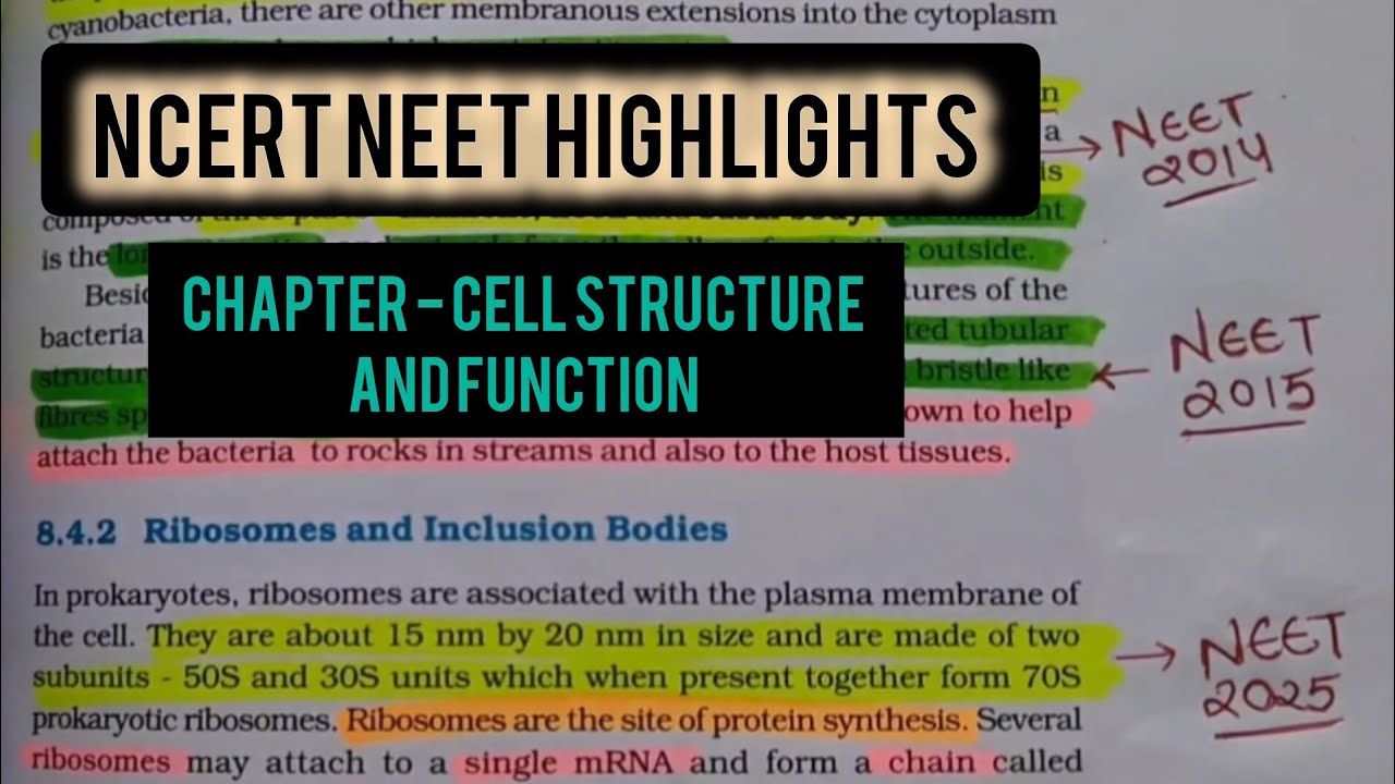 CHAPTER- CELL STRUCTURE AND FUNCTION | IMPORTANT HIGHLIGHTS WITH NEET ...