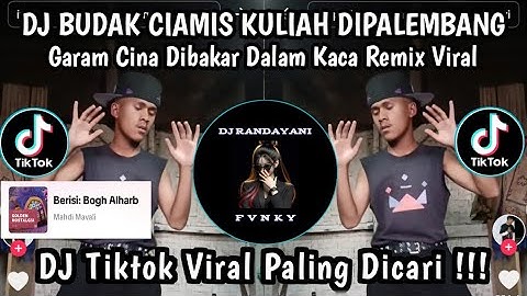 DJ BUDAK CIAMIS X GARAM CINA DIBAKAR DALAM KACA || DJ REMIX LAMPUNG VIRAL TIKTOK 2025