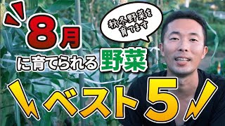 【家庭菜園】8月に育てられる野菜【ベスト5】