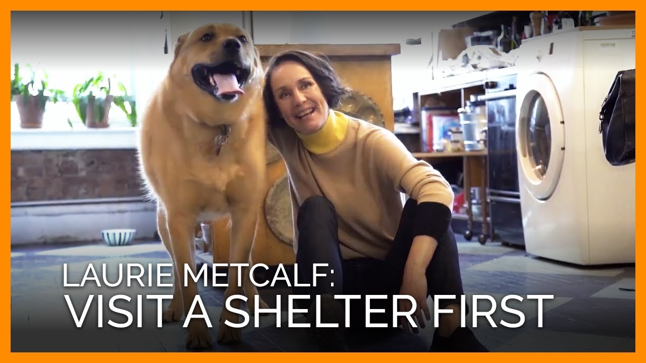 Film, TV, and Broadway Star Laurie Metcalf Has an Adorable New Costar