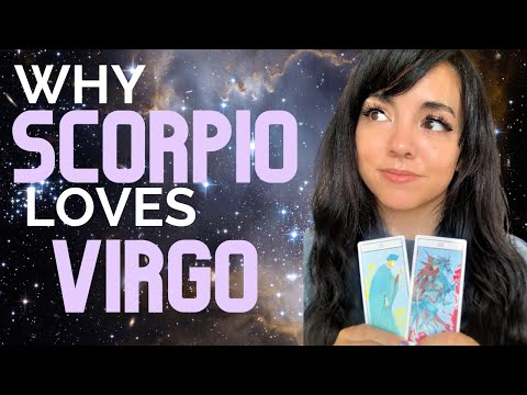 Video: Kommer virgo och skorpion överens?