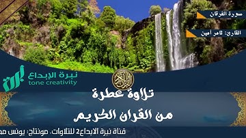 ماتيسر من سورة الفرقان| للقارئ: ثامر أمين