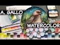 A Gallo Watercolor Review - Swatch Cards, Rare Pigments, Favorite Colors (w/Guest Voice-Over)