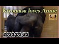 キヨマサはアニーが大好き❤ 2023/02/22 〜 Kiyomasa loves Annie【東山動物園】