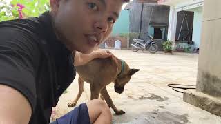 Afternoon care and feeding the dog