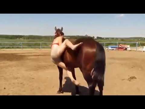 Πάει να ανέβει στο άλογο αλλά δεν μπορεί, δείτε την αντίδραση του αλόγου αμέσως μετά!