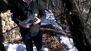 Collecting Sap. "Making Sap Into Syrup"