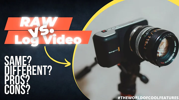 What is the difference between filming RAW and shooting Log Video?