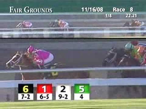 FAIR GROUNDS, 2008-11-16, Race 8