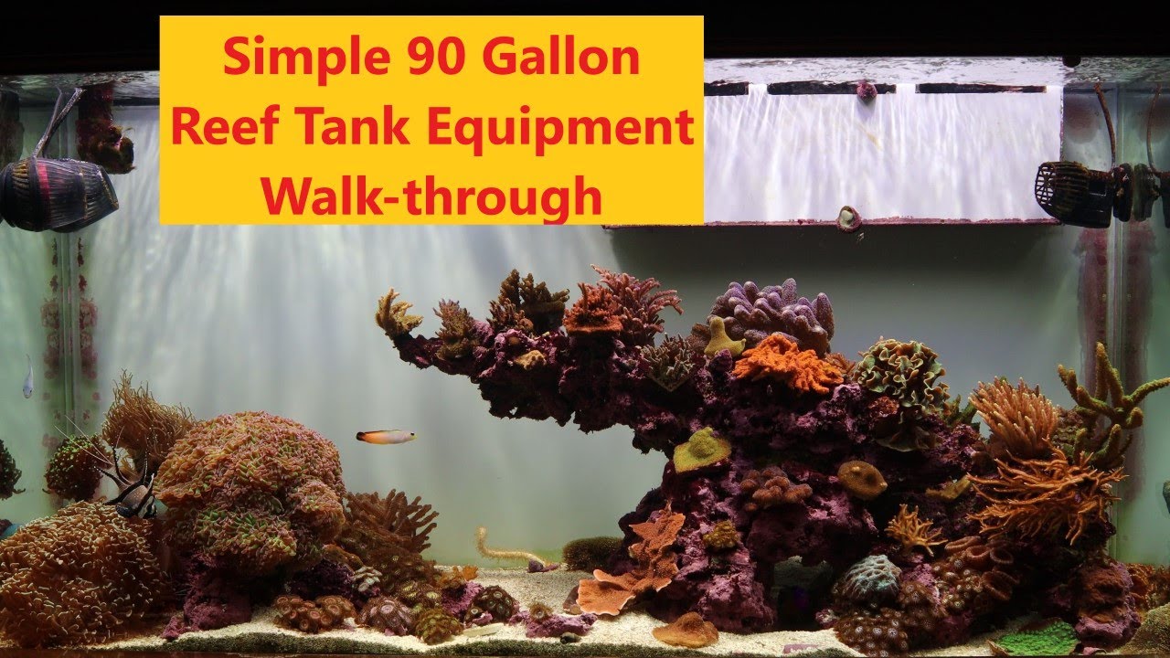 The Best Auto Top Off Devices For Saltwater Aquariums - Reef Builders Gear  Guide, Reef Builders