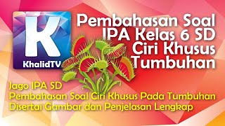 #PJJSeries Pembahasan Soal IPA Kelas 6 SD | Ciri Khusus Tumbuhan