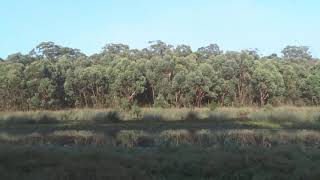 Couridjah 09 02 19