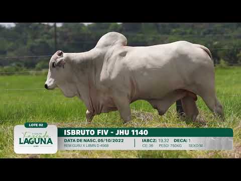 LOTE 02 - JHU 1140
