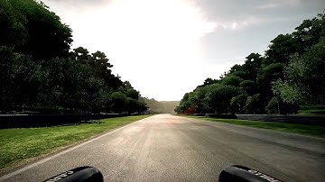 Porsche 911 Carrera RSR 3.0 (Shift 2 Unleashed)