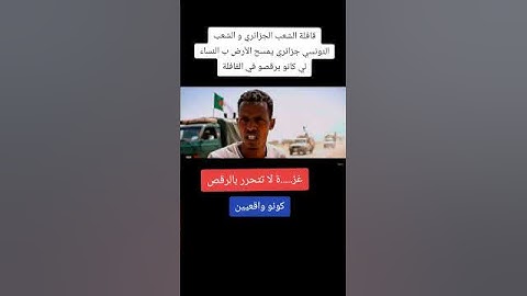 قافلة الصمود الجزائر تونس غزة اليوم كسر الحصار