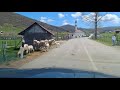 Drive to Pesterska Visoravan 4K Dashcam | Sjenica, Serbia