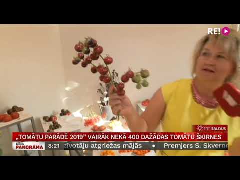 Video: Tomātu šķirnes: apraksts un foto