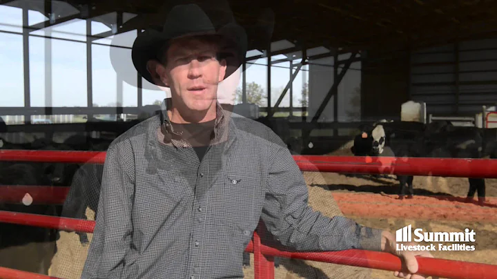 Todd Slykhuis talks about opportunities for cow/ca...