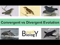 Convergent and Divergent Evolution Concepts