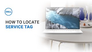 How to find a Dell Service Tag (Official Dell Tech Support)