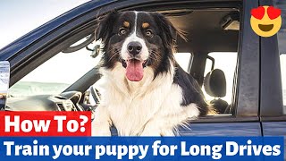 How to Train your puppy for Car Rides? 🚗 🐶