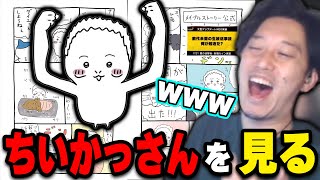 かっさん mqdefault.jpg
