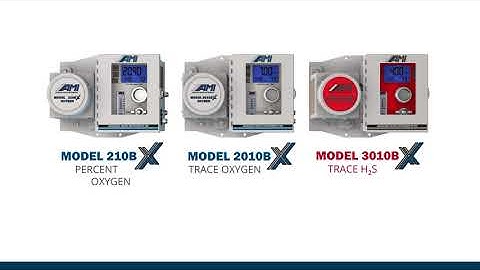 AMI BX Series Oxygen and H2S Gas Analyzers