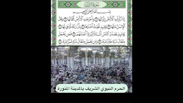 سورة الزلزلة قراءة الشيخ حسين آل الشيخ