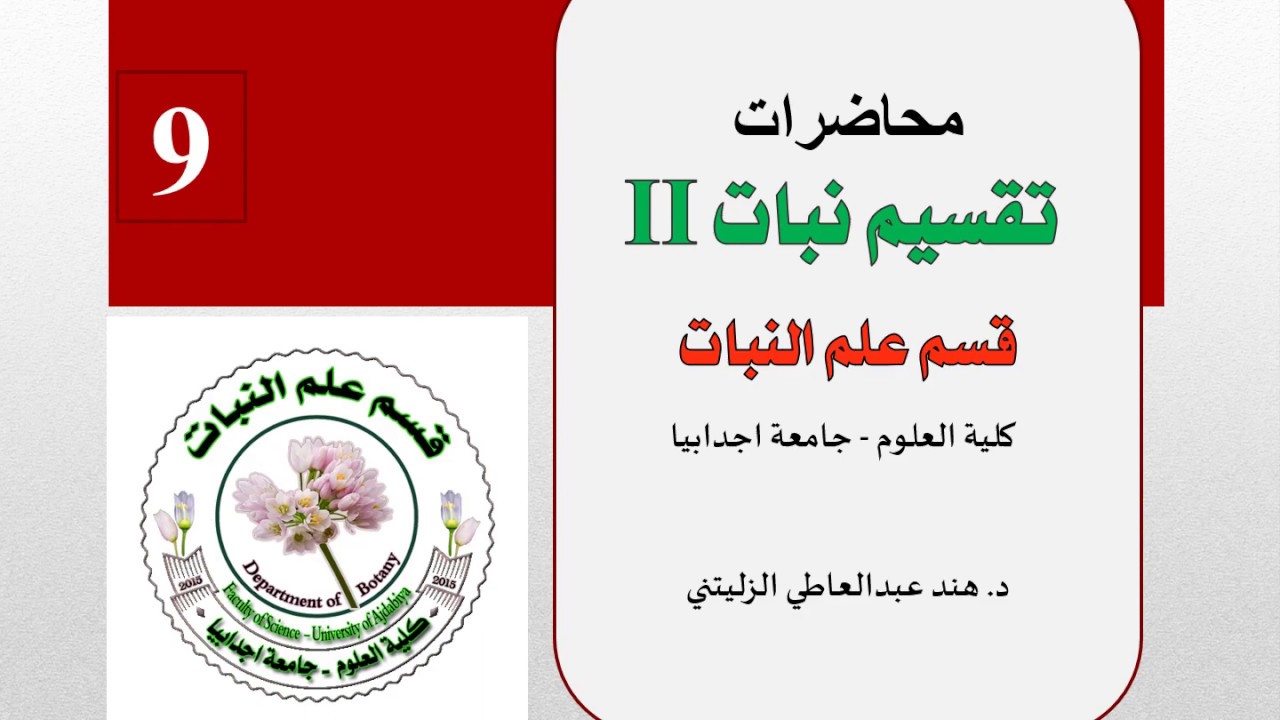 المحاضرة التاسعة: تقسيم نبات II