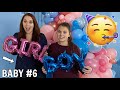 OUR GENDER REVEAL PARTY UPDATE!