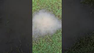 Love Melody Song ஒனன ரணட எனன நனம சலல