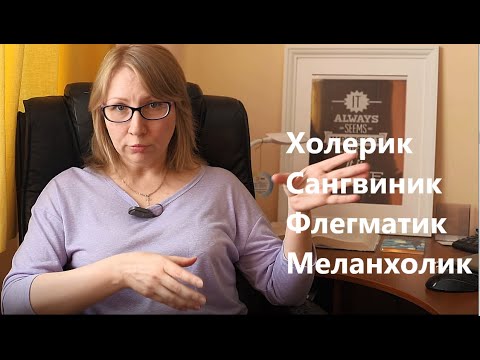 Бейне: Холерик қалай болуы керек?