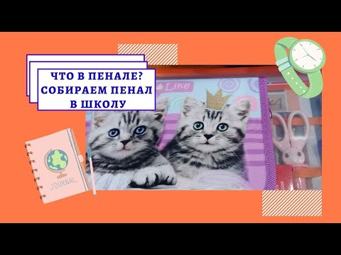 Что в пенале? Собираем пенал, папку для труда, рисования. Back to school. Пенал первоклассника.
