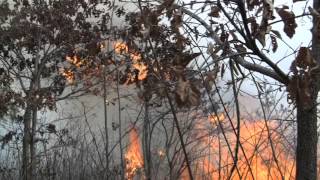 Virginia Tech: Wildland Fire Crew