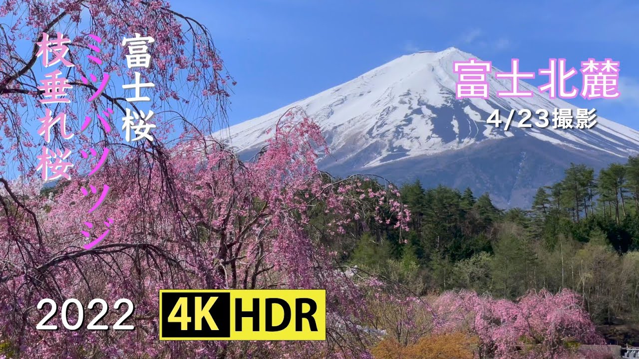 春の富士 2022 富士山北麓の春(4K-HDR) Spring At North Foothill Of Mt. Fuji