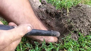 Nokta Makro simplex metal detector at a local park.