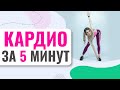 Кардио тренировка дома за 5 минут | Динамическая разминка