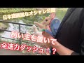 時速60km!?ネザーランドドワーフうさぎが飼い主を置いていく全速力ダッシュ！日本庭園風公園うさんぽCute Netherlands dwarves bunny walk in park. PART２