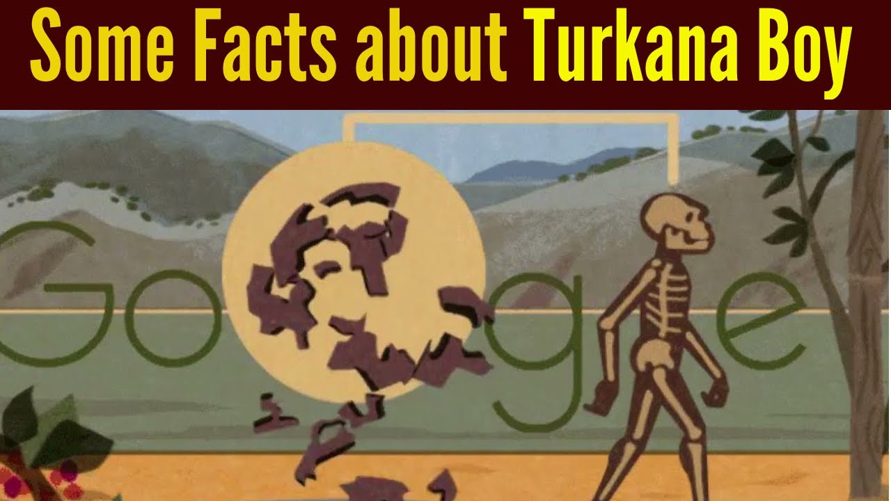 Turkana Human Google Doodle: 5 Fast Facts to Know