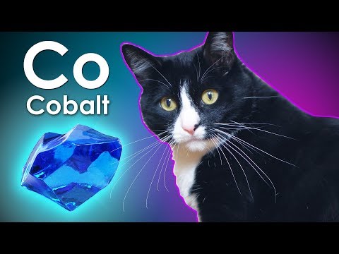 Cobalt - MỘT KIM LOẠI TỪ PHÂN CỦA MÈO!