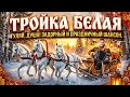 Под эту песню гуляет вся душа Василий Набожненко Тройка белая Лучшая застольная песня 2026 