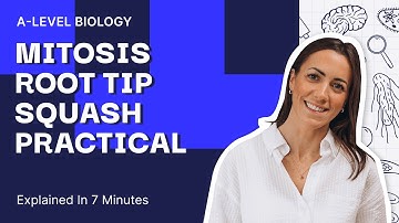 Mitosis Root Tip Squash | Required Practical A level Biology