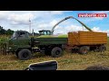 Corn Harvest / Maisernte mit IFA L60 | Уборка Кукурузы с ИФА Л60